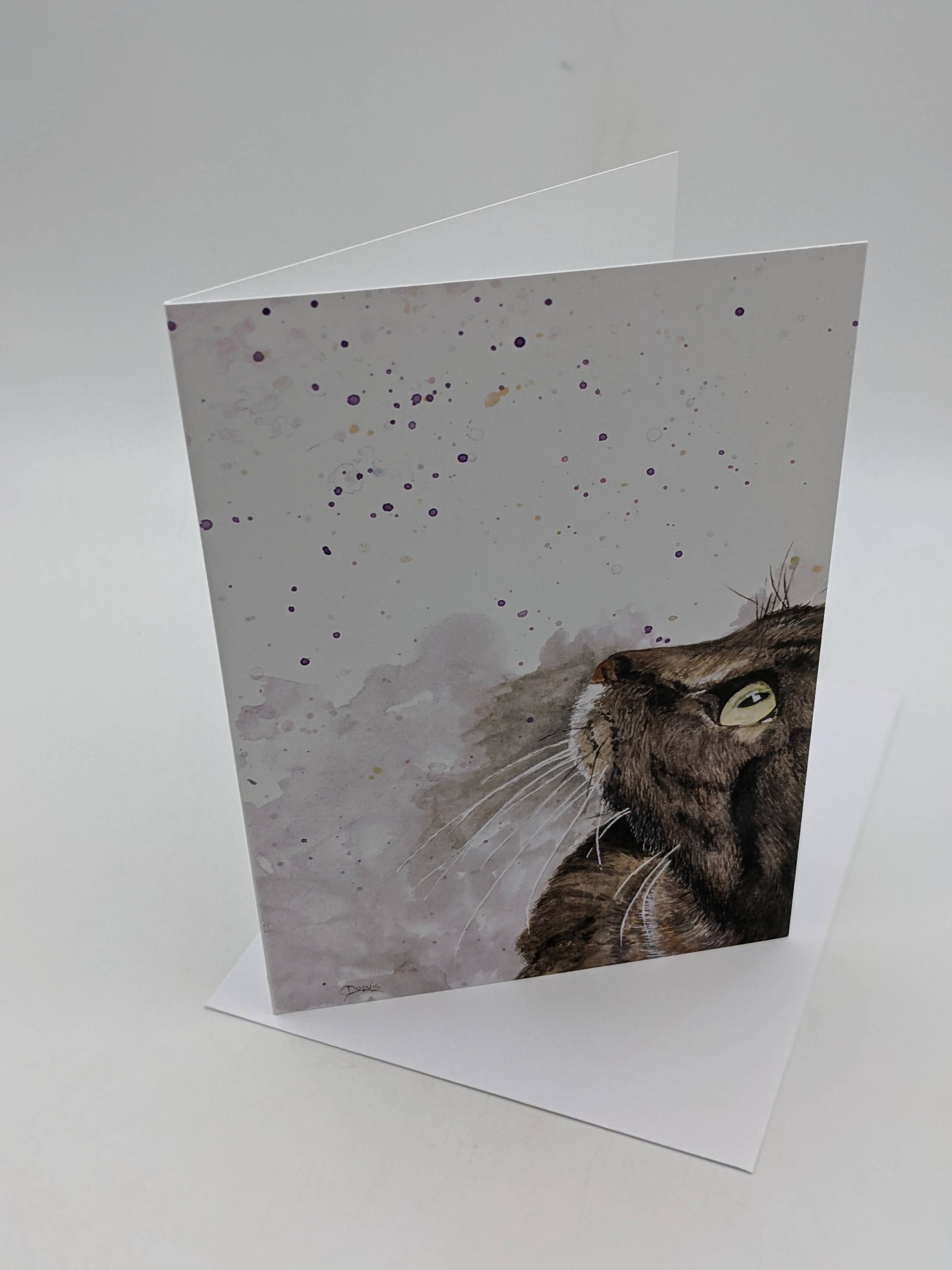 Greeting Card - Domestic Brown Cat