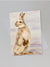Greeting Card - Snow Hare