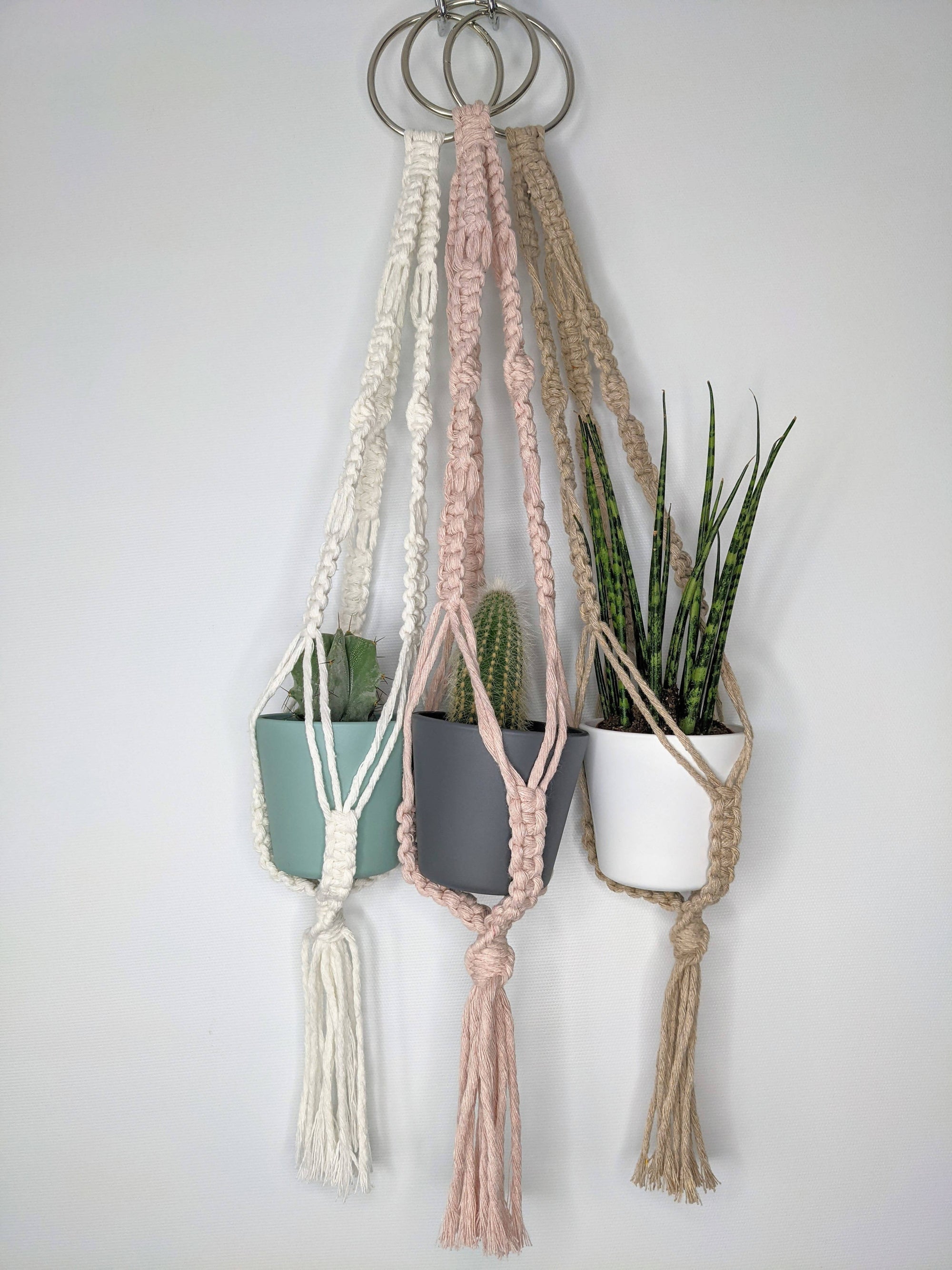 Mini macrame plant hangers - choice of 3 colours