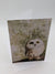 Greeting Card - Sawhet Owl